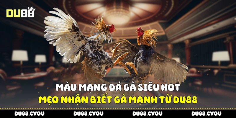 Màu mạng đá gà